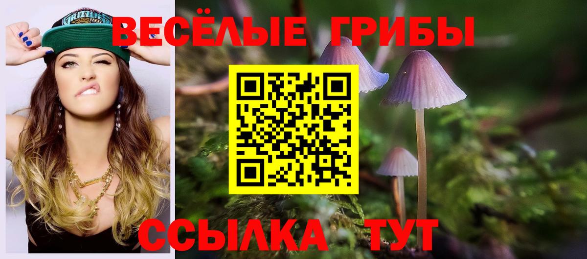 Магадан  Галлюциногенные грибы прущие грибы  наркошоп  Вход с VPN 