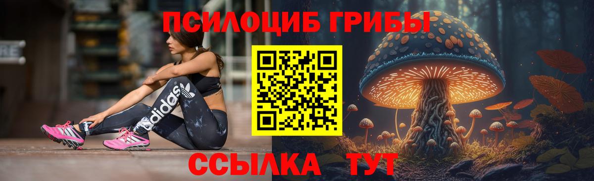 Галлюциногенные грибы Psilocybe Магадан
